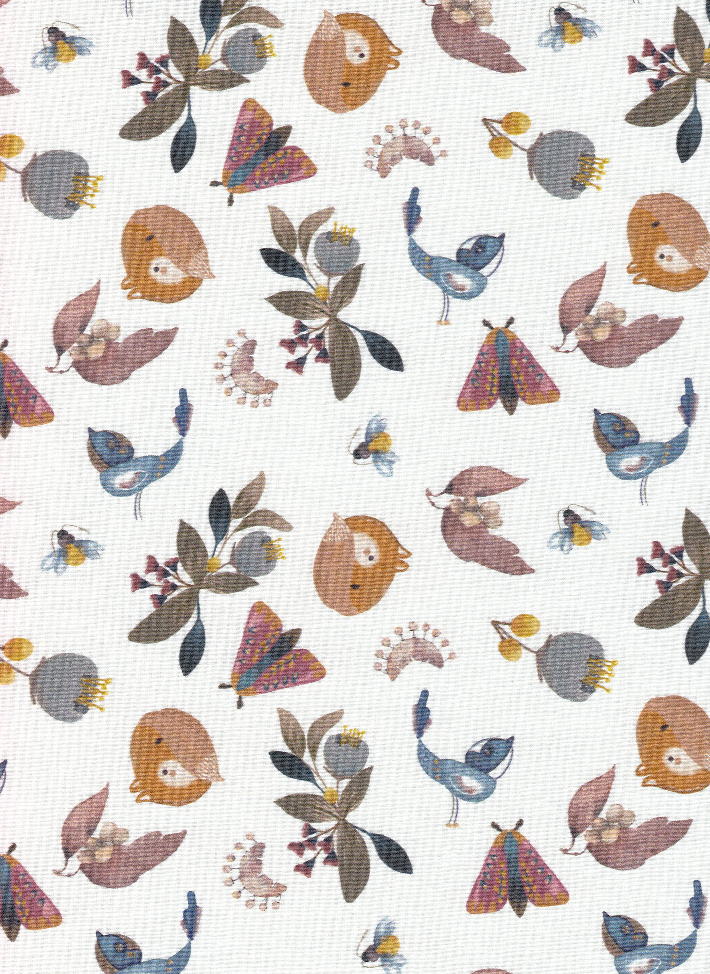 1000313-121 ptáček